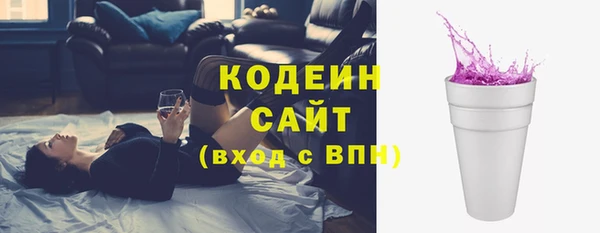 мдпв Вязьма