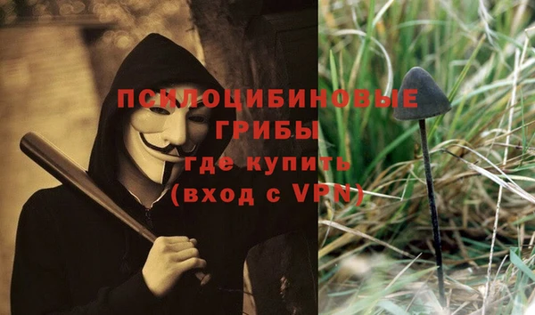 мдпв Вязьма