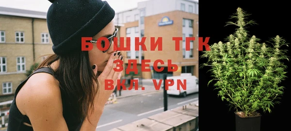 молекула духа Вяземский