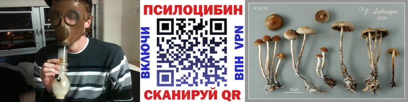 это какой сайт  Закаменск  Галлюциногенные грибы MAGIC MUSHROOMS 
